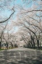 九游蜀门手游下载-九游蜀门手游，踏入仙魔世界的奇妙之旅